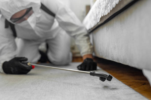 Professional Cockroach Control technician working in Village Green-Green Ridge, PA