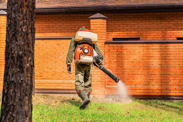 Trusted Termite Control service in Village Green-Green Ridge, PA - Nex Pest Control